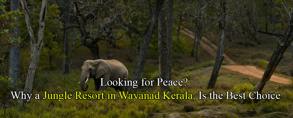 blogs of kuruva island