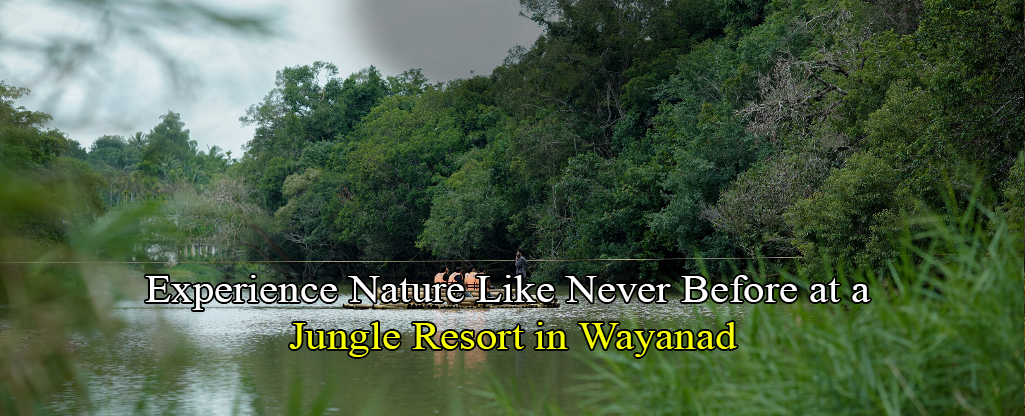 blogs of kuruva island