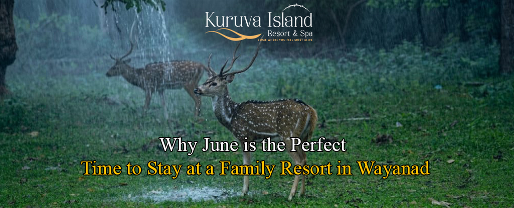 blogs of kuruva island