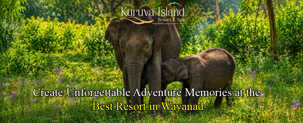 blogs of kuruva island